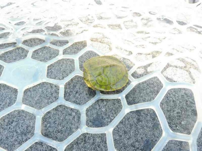 truth  ブログ写真 2017/05/23