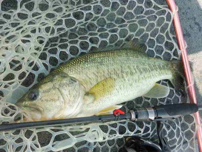 truth  ブログ写真 2017/05/23