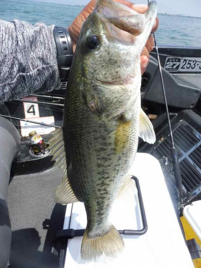 truth  ブログ写真 2017/05/23