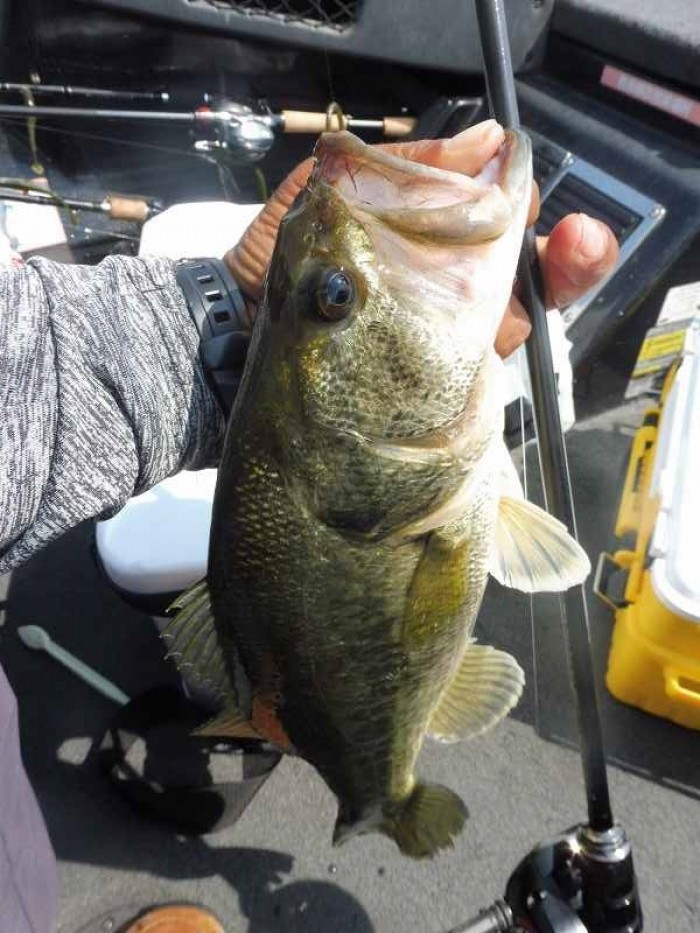 truth  ブログ写真 2017/05/23