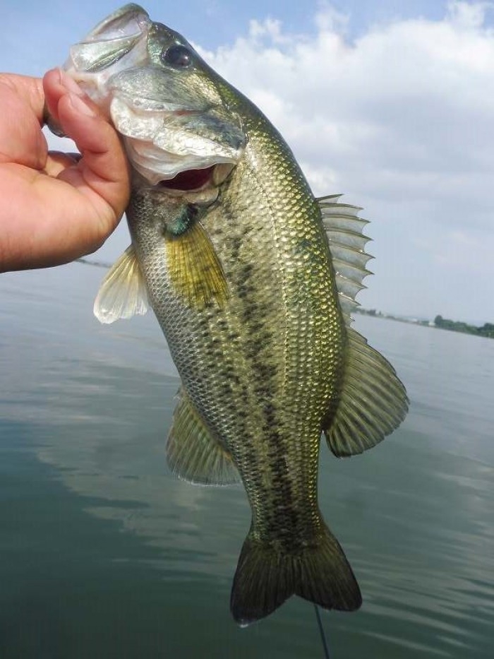 truth  ブログ写真 2017/05/23