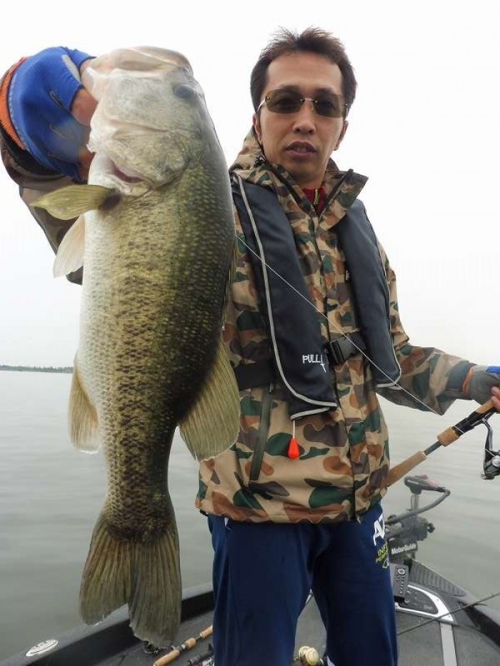 truth  ブログ写真 2017/05/24