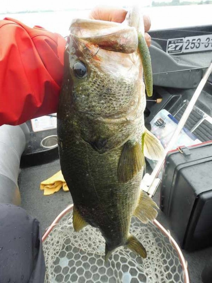 truth  ブログ写真 2017/05/24