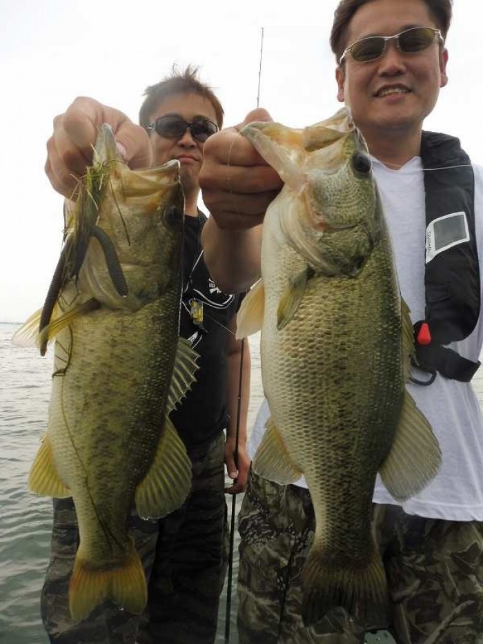 truth  ブログ写真 2017/05/24