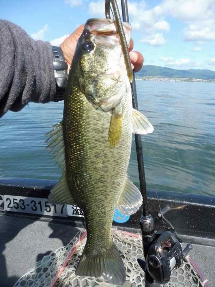 truth  ブログ写真 2017/05/27