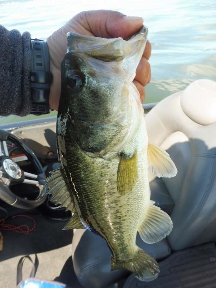 truth  ブログ写真 2017/05/27