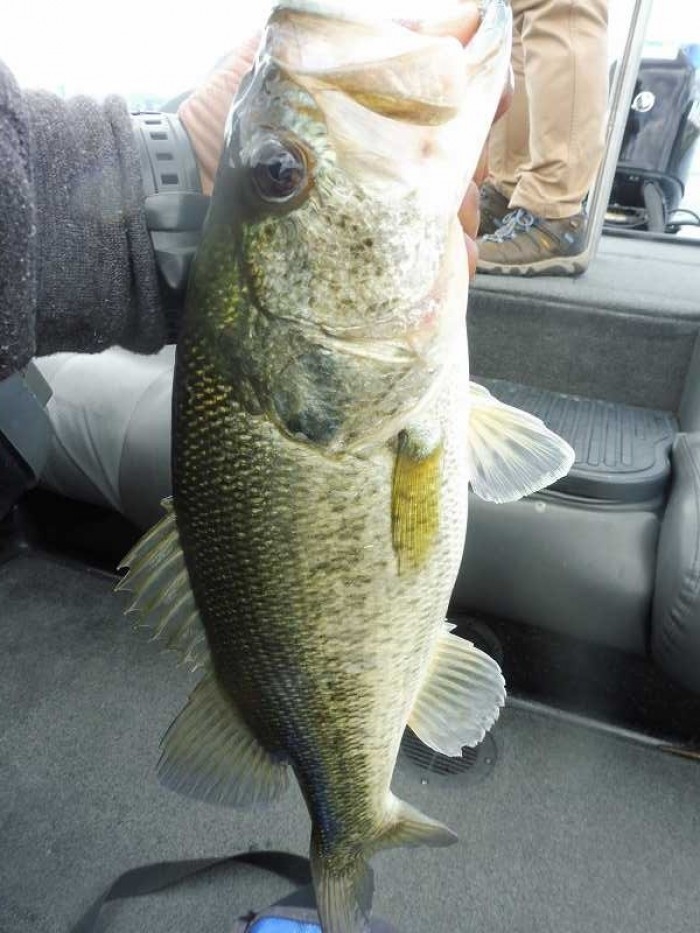 truth  ブログ写真 2017/05/27