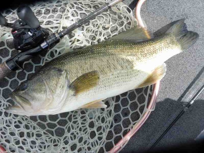 truth  ブログ写真 2017/05/27