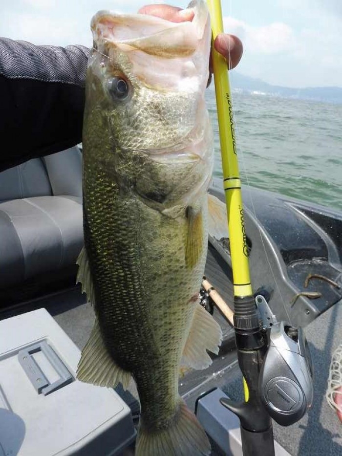 truth  ブログ写真 2017/06/01