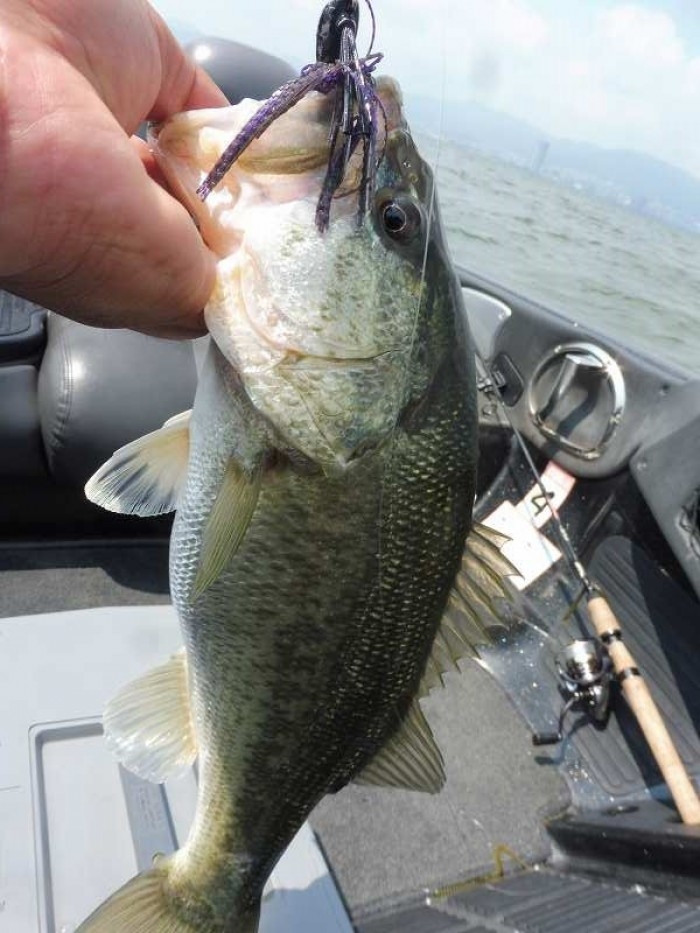 truth  ブログ写真 2017/06/01