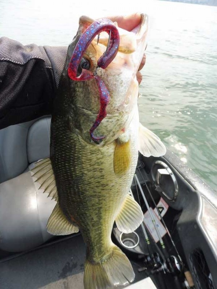 truth  ブログ写真 2017/06/01