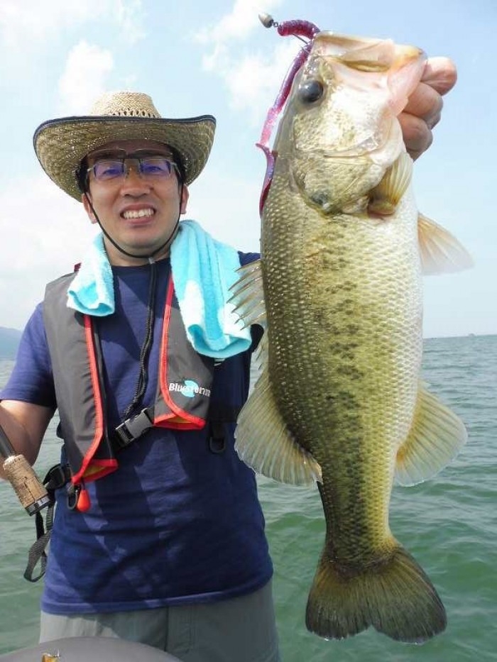 truth  ブログ写真 2017/06/01