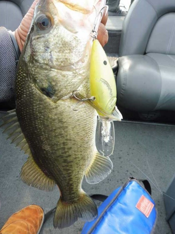 truth  ブログ写真 2017/06/01