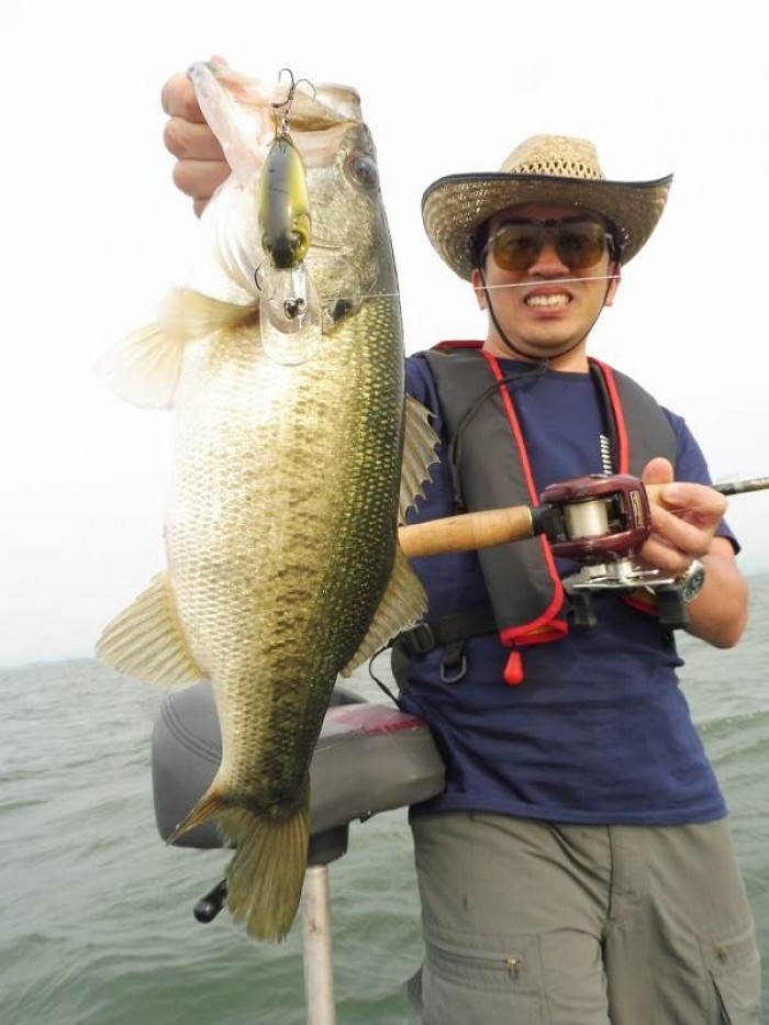 truth  ブログ写真 2017/06/01