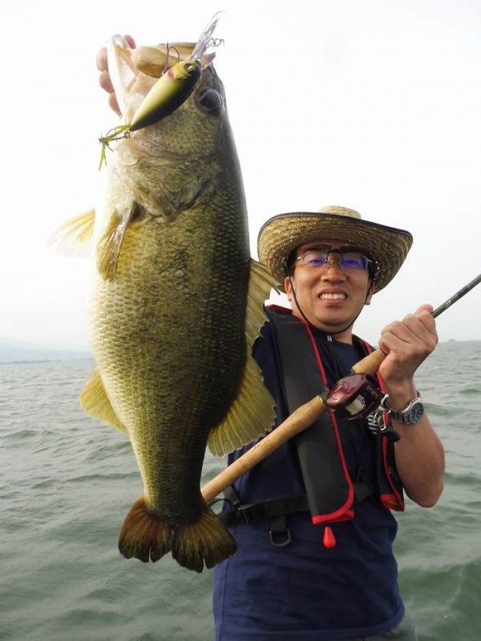 truth  ブログ写真 2017/06/01