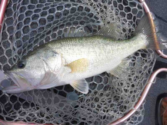 truth  ブログ写真 2017/06/06