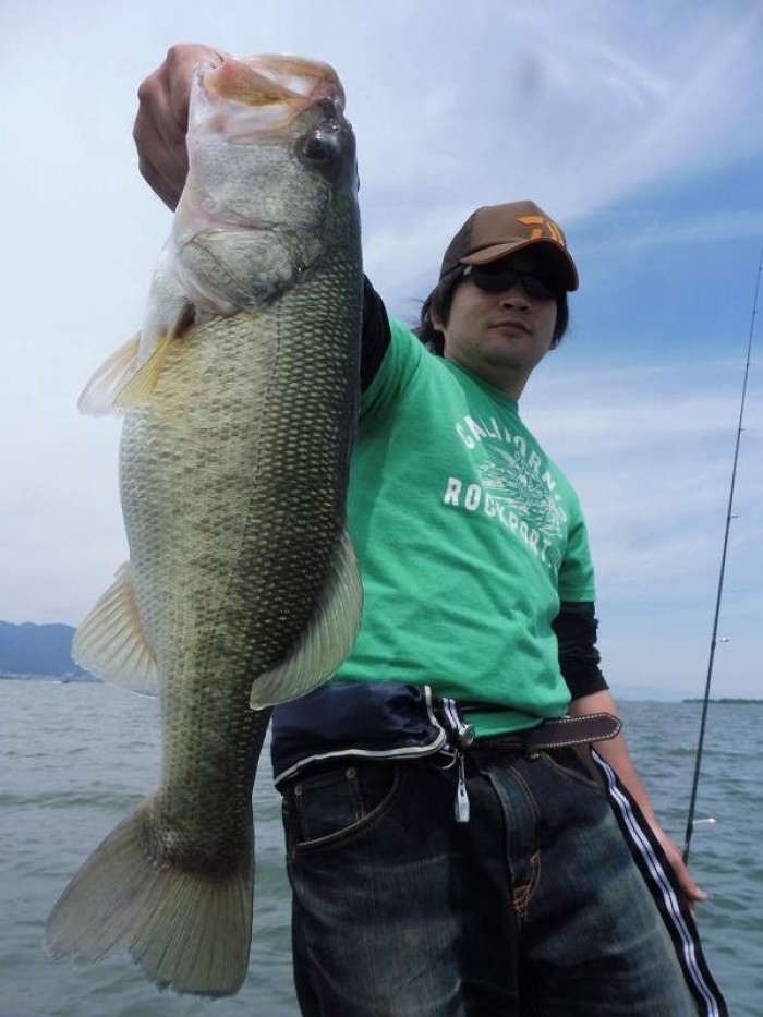 truth  ブログ写真 2017/06/06