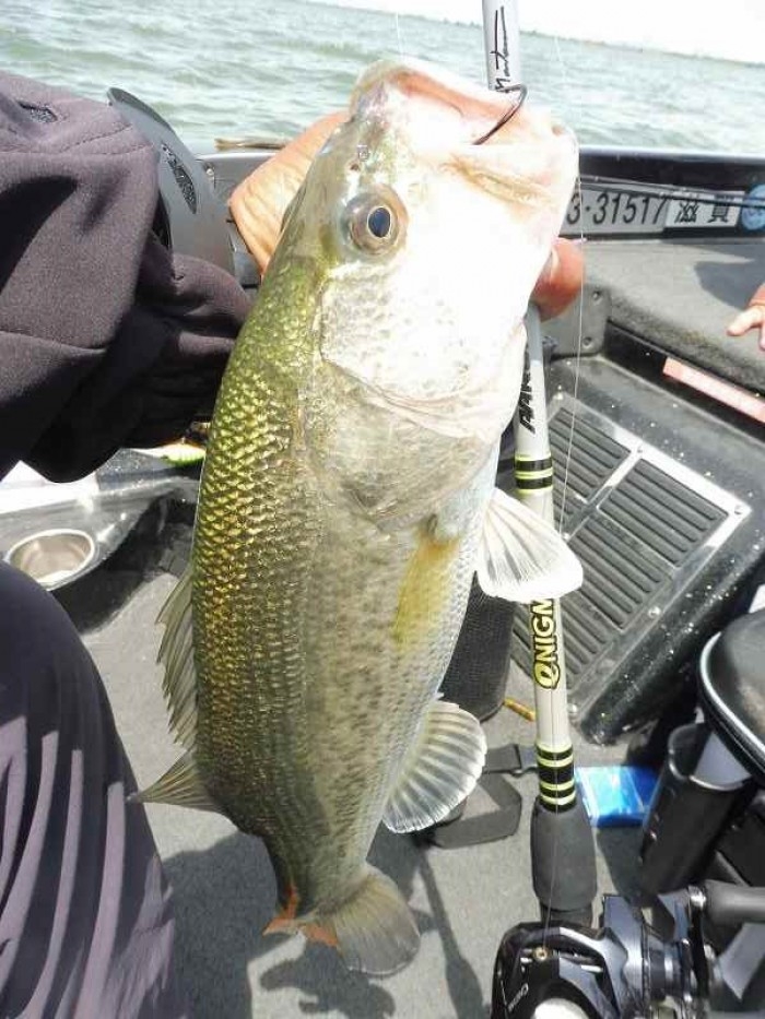 truth  ブログ写真 2017/06/06