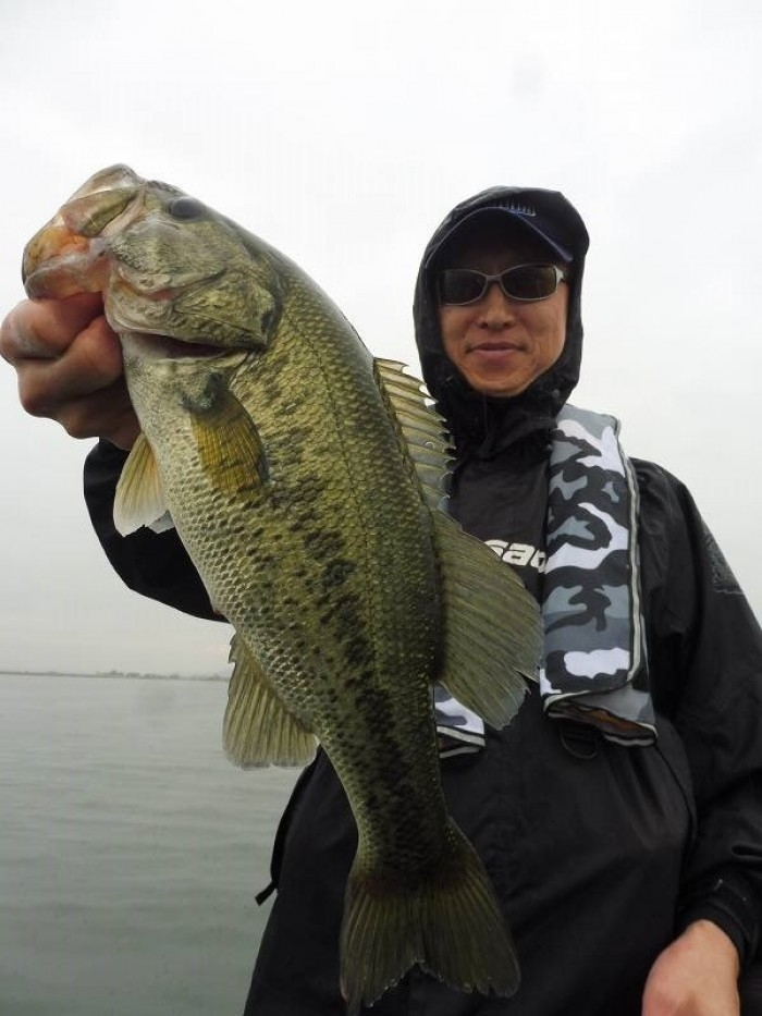 truth  ブログ写真 2017/06/07