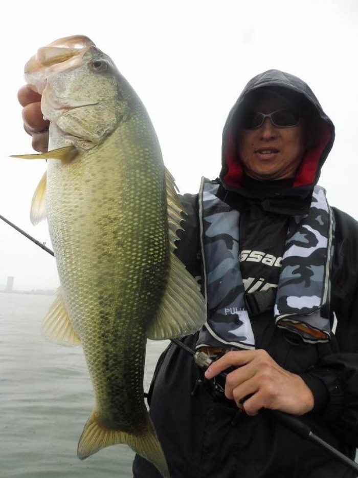 truth  ブログ写真 2017/06/07