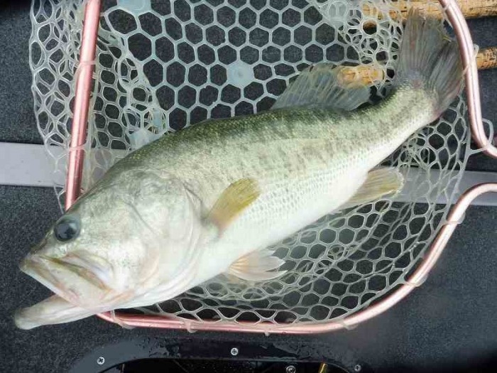 truth  ブログ写真 2017/06/07