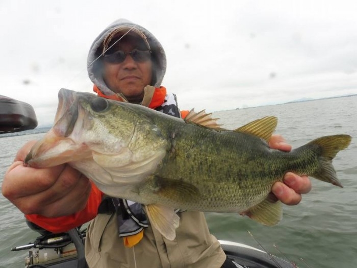 truth  ブログ写真 2017/06/08