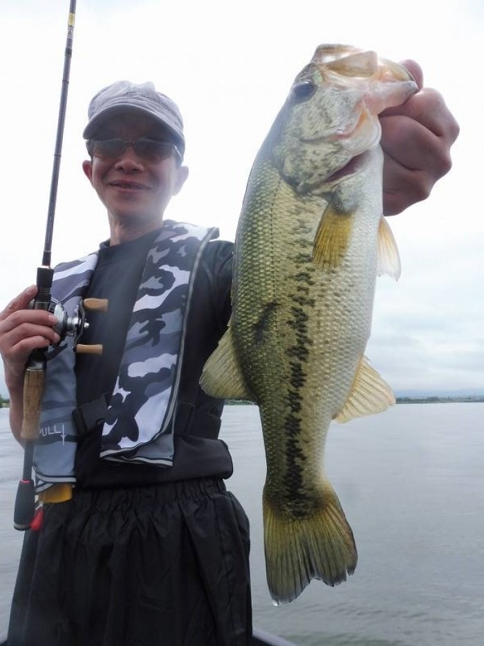 truth  ブログ写真 2017/06/08