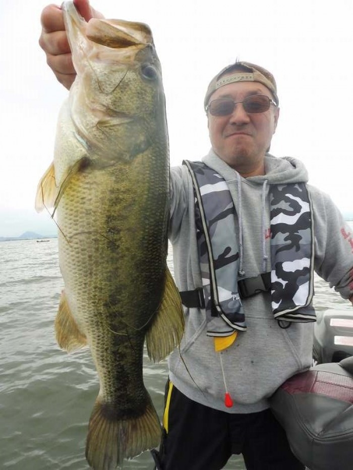 truth  ブログ写真 2017/06/08