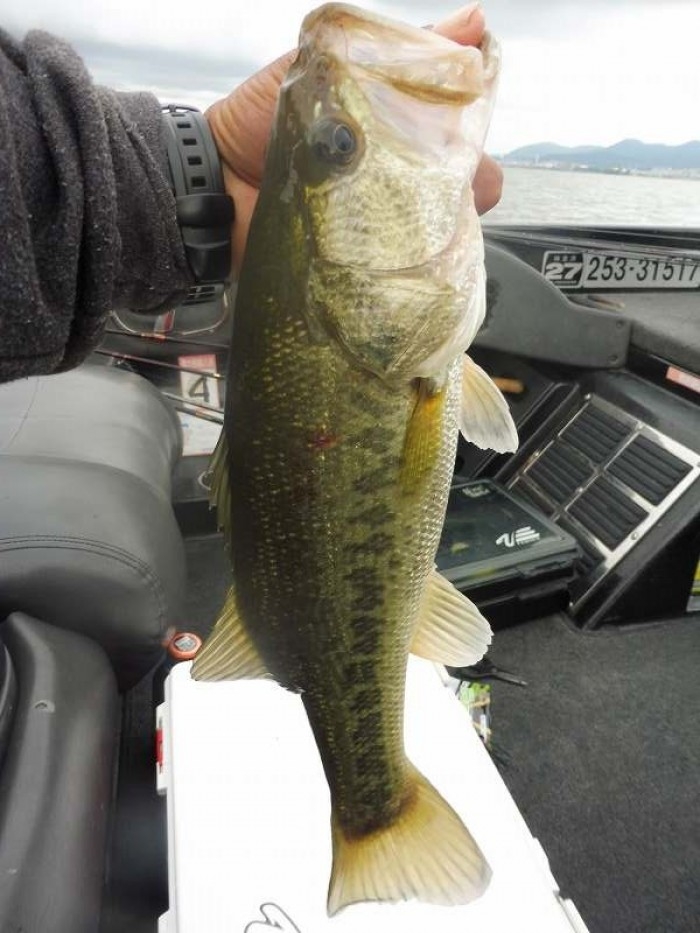 truth  ブログ写真 2017/06/08