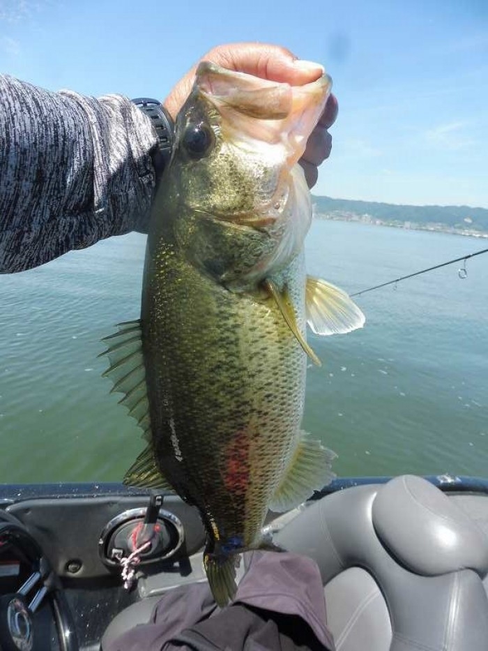 truth  ブログ写真 2017/06/09