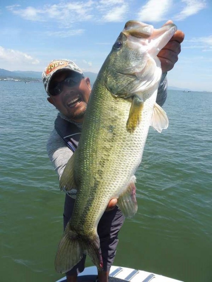 truth  ブログ写真 2017/06/09