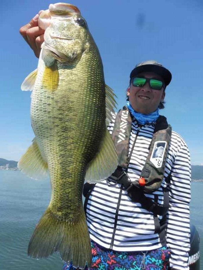 truth  ブログ写真 2017/06/09