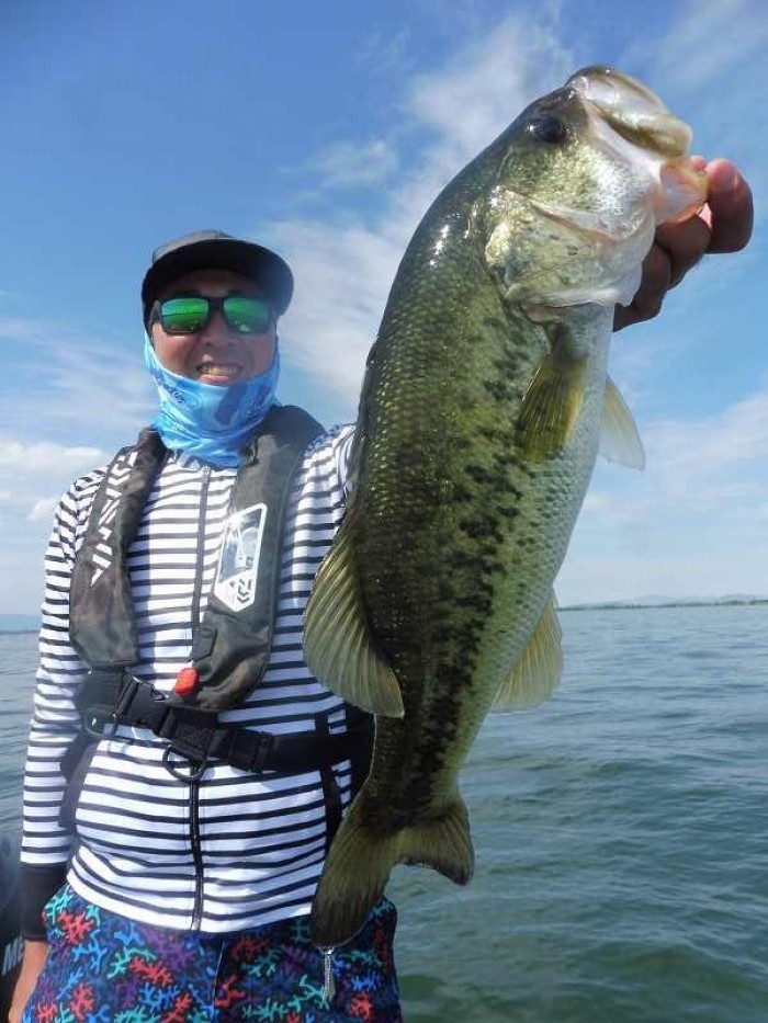 truth  ブログ写真 2017/06/09