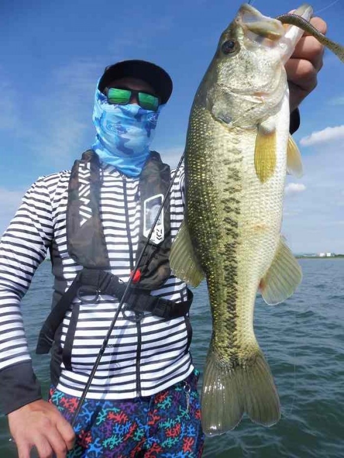 truth  ブログ写真 2017/06/09