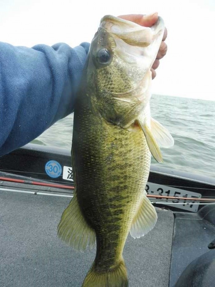 truth  ブログ写真 2017/06/10