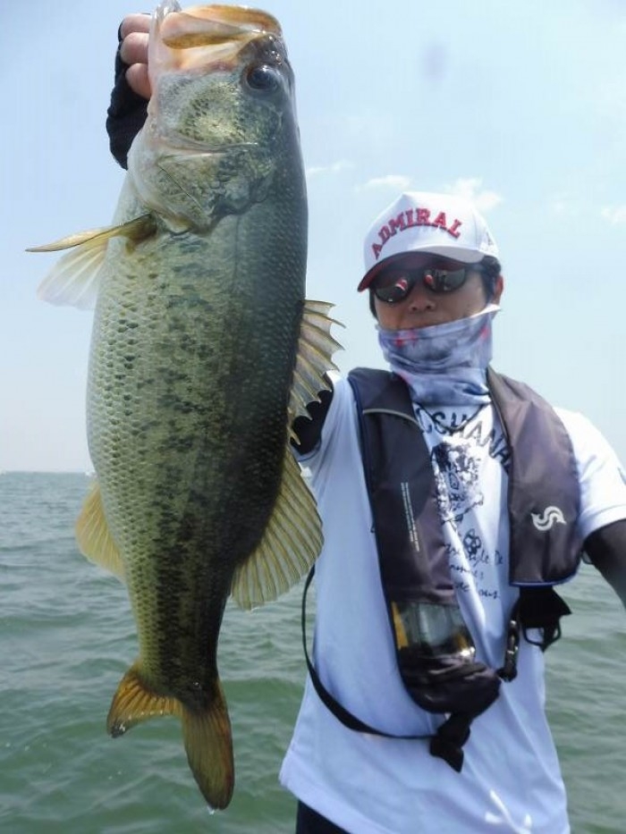 truth  ブログ写真 2017/06/10