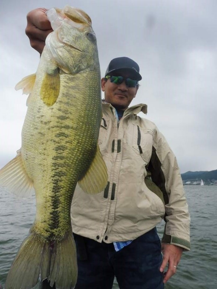 truth  ブログ写真 2017/06/11