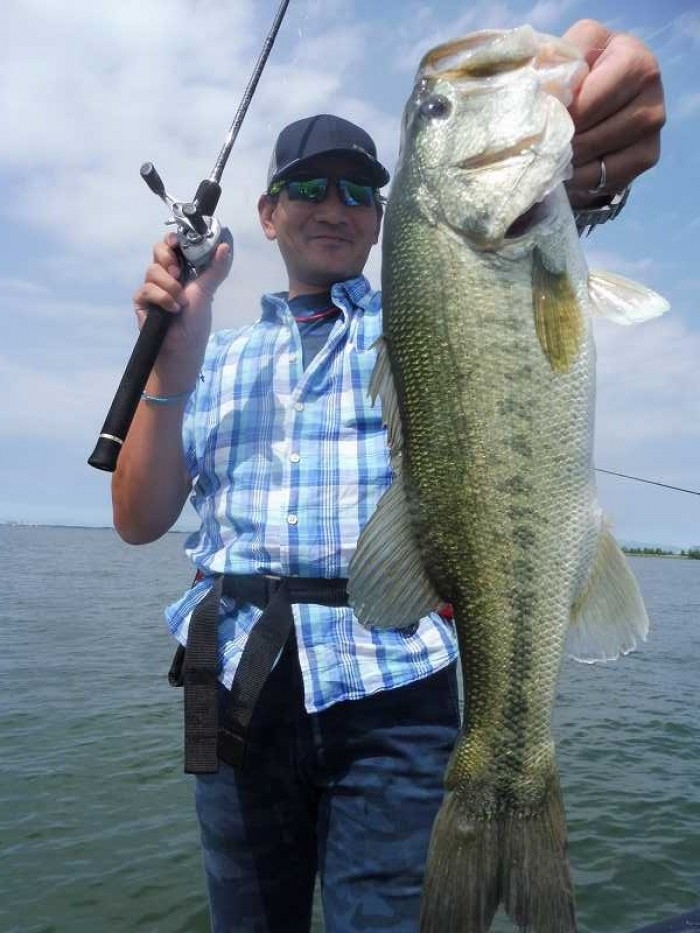 truth  ブログ写真 2017/06/11