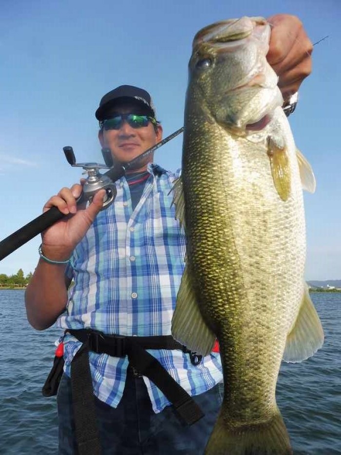 truth  ブログ写真 2017/06/11