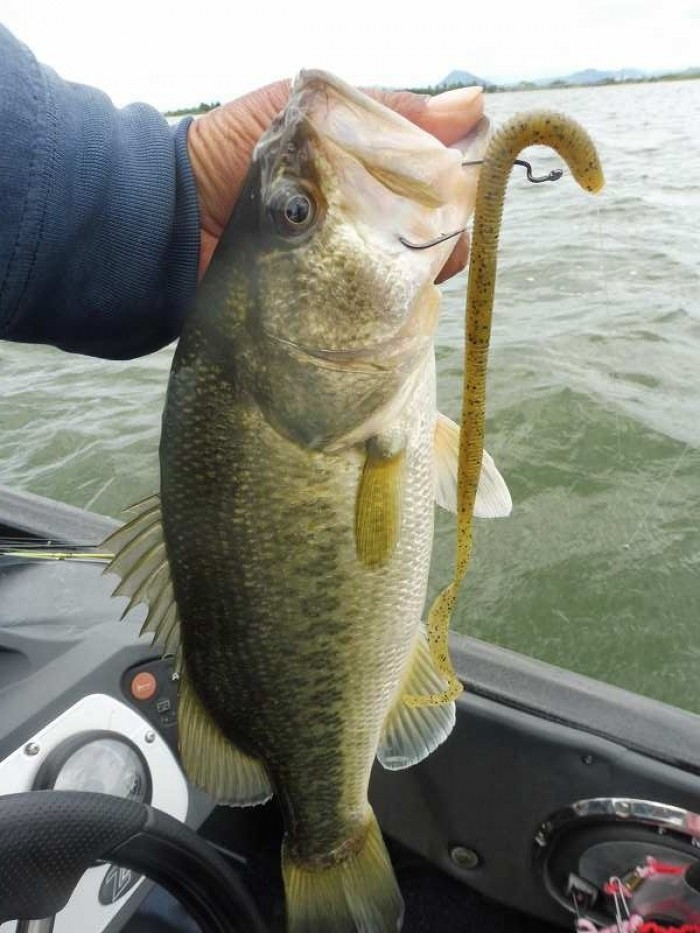 truth  ブログ写真 2017/06/12