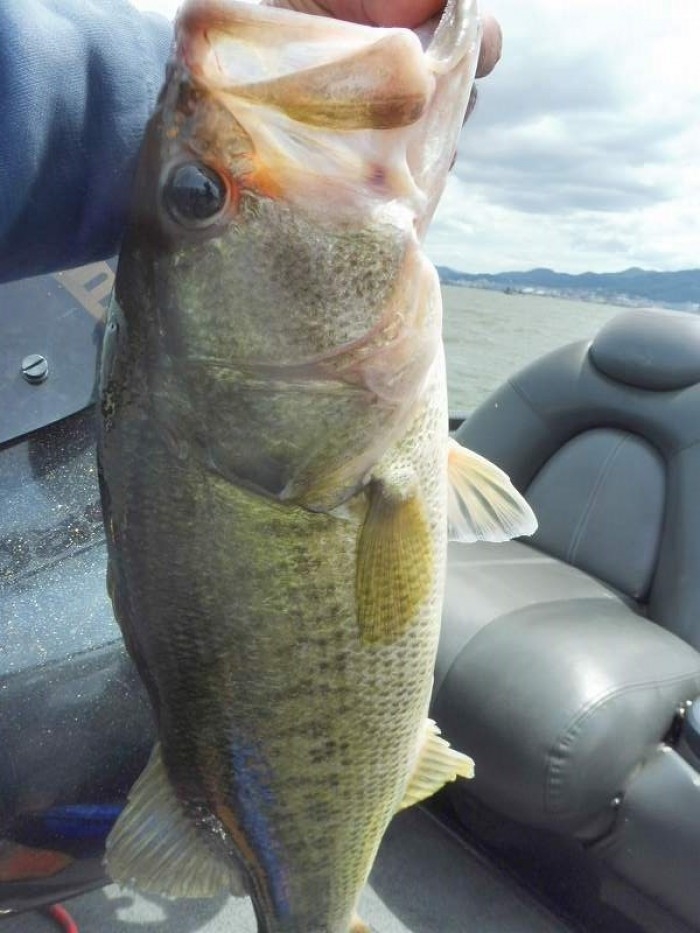 truth  ブログ写真 2017/06/12