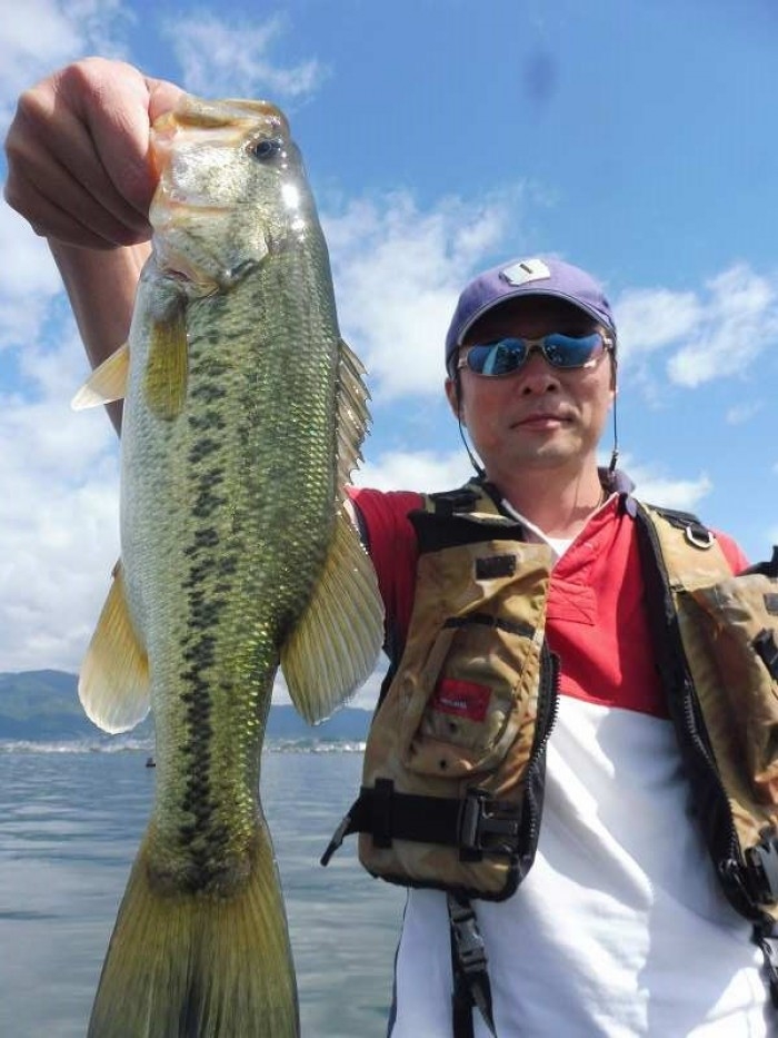 truth  ブログ写真 2017/06/13