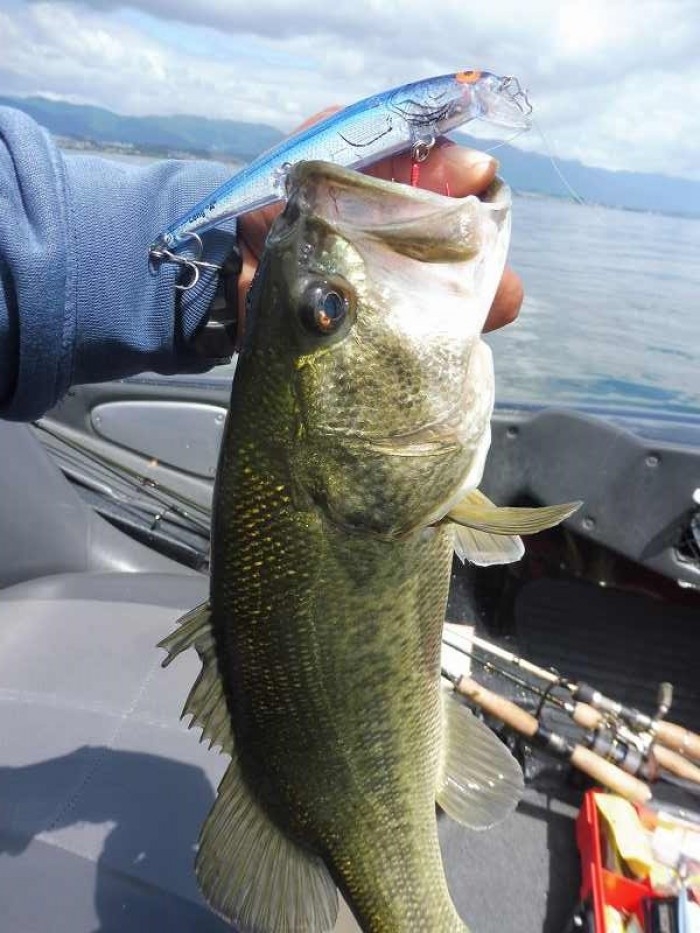 truth  ブログ写真 2017/06/13