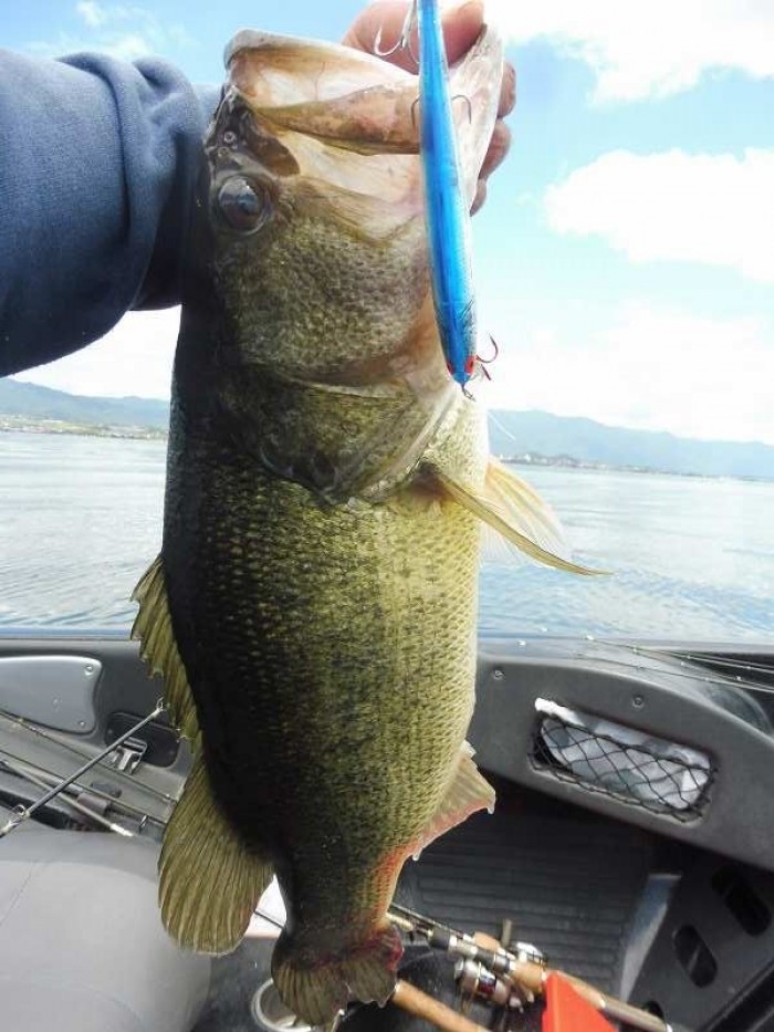 truth  ブログ写真 2017/06/13