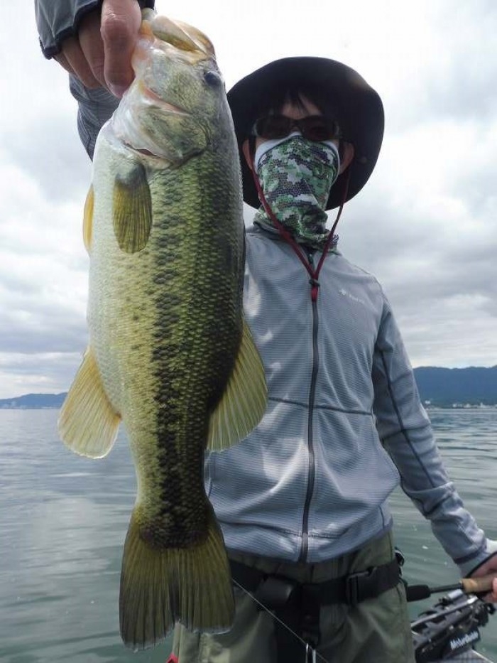 truth  ブログ写真 2017/06/13