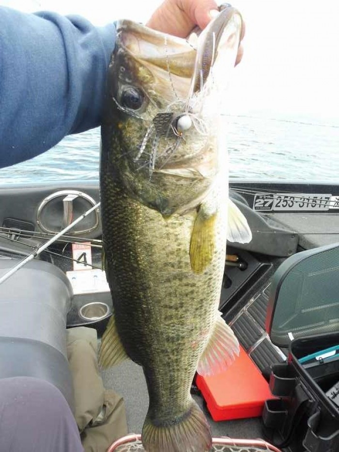 truth  ブログ写真 2017/06/13