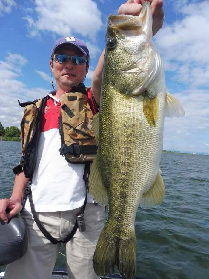 truth  ブログ写真 2017/06/13