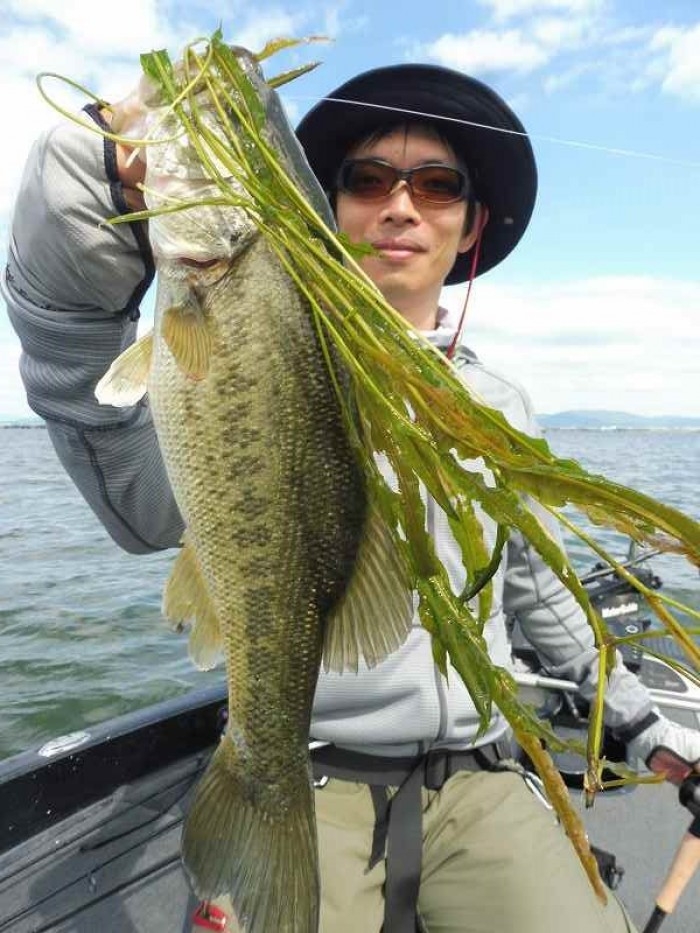 truth  ブログ写真 2017/06/13