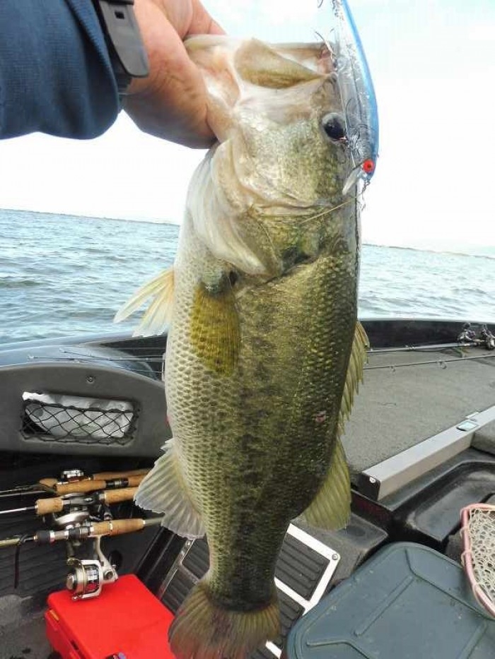 truth  ブログ写真 2017/06/13