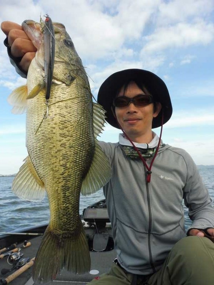 truth  ブログ写真 2017/06/13